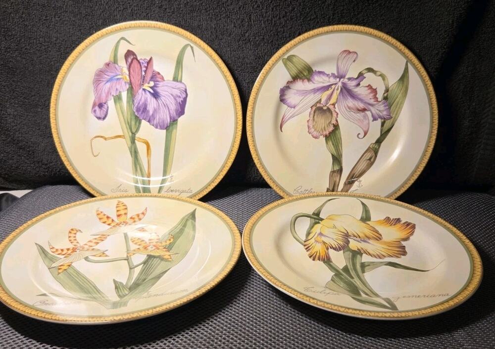 American Atelier Botanical 8 In salad/dessert plate Set Of 4